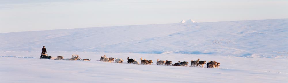 Alaskan Arctic Expeditions